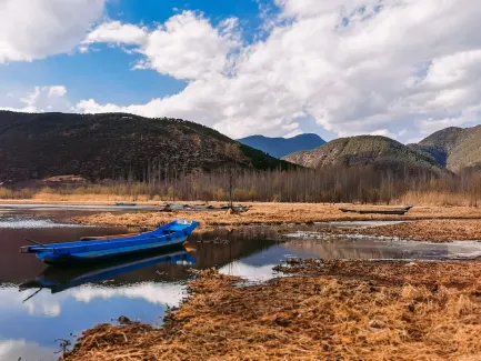 وينينغ كازينو تطبيق الهاتف المحمول